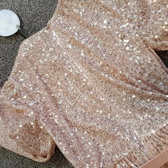 ANTONIO MELANI xNicola Bathie Nicola Sequin Belted Feathered A-Line 0 dress - Picture 16 of 16